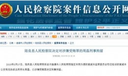 最新案件爆料信息公布网,揭秘背后惊人真相