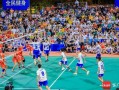 海南排球爆料最新消息