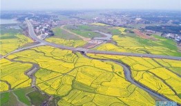 汨罗最新爆料事件新闻,事件真相浮出水面，真相令人震惊