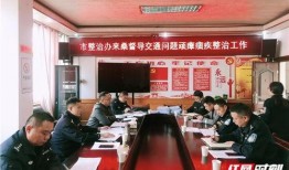 桑植新闻爆料最新视频