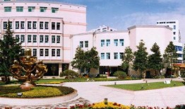 武汉市运河区滨河小学最新爆料,揭秘校园新鲜事