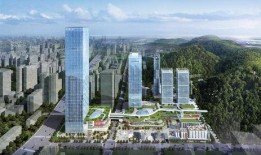 深圳罗湖最新爆料,揭秘深圳罗湖最新爆料背后的故事