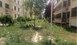 陈平小区最新爆料,揭秘神秘事件背后的真相