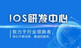 教材最新爆料视频播放大全,精彩内容抢先看