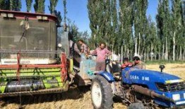 新疆农机大爆料最新消息,最新农机技术革新与市场动态盘点