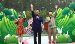 神秘邻居最新爆料视频,揭秘隐藏在幕后的惊人真相！