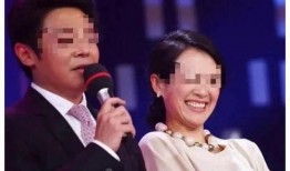 刘大锤事件爆料最新消息,揭秘幕后真相与后续影响