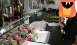 吃瓜最新事件爆料厨房视频,吃瓜最新事件幕后真相大曝光