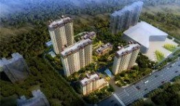 林州碧桂园爆料事件最新,揭秘背后真相与争议焦点