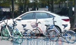 郑州自行车最新爆料消息,揭秘未来城市出行新选择