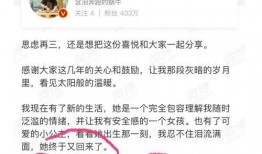 林先生和王启航最新爆料,揭秘事件背后惊人真相