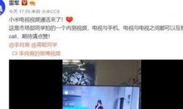 雷军 视频 爆料最新