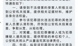 村霸事件爆料最新消息,最新爆料揭露惊人内幕
