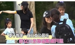 刘大锤事件爆料最新消息,揭秘幕后真相与后续影响