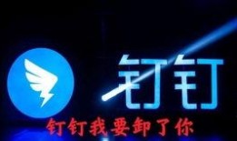 最新局座爆料大全,揭秘军事风云背后的真实故事