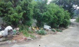 东莞狮岭镇最新爆料,揭秘神秘事件背后的真相