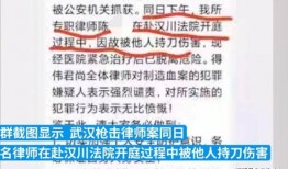 武汉商业爆料案件最新,揭秘背后真相与法律较量