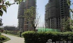 大华公园最新爆料,揭秘公园背后的神秘故事与未来规划