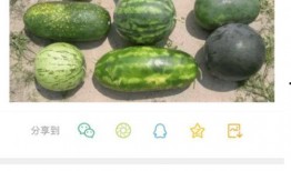 新瓜最新爆料在哪里看的