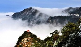 庐山景区爆料事件最新,揭秘背后真相与影响