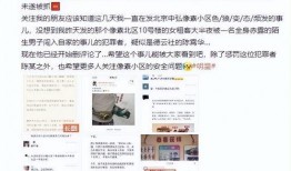 刘欣悦事件的最新爆料,揭秘背后惊人内幕