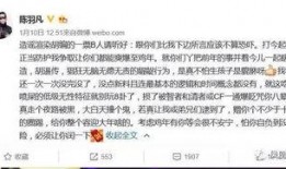 卓伟爆料婚礼视频大全最新,明星婚礼现场视频大公开