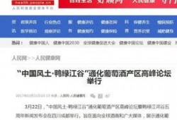 武陟网红爆料新闻最新报道,揭秘当地热点事件背后真相