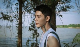 肖战律师最新爆料,揭秘事件背后真相