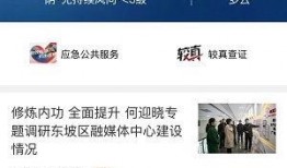 东坡爆料视频大全最新下载,最新下载内容大揭秘