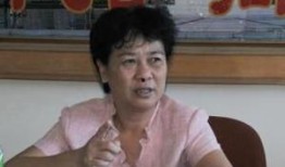 海口市韩美最新爆料,揭秘韩美项目背后的真相与争议