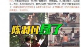 枫丹爆料视频最新消息大全,揭秘游戏新动态与精彩内容