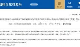 穗莞深最新爆料,揭秘未来城市发展趋势与亮点”