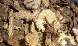 白术爆料最新,揭秘娱乐圈幕后真相，明星隐私大曝光！